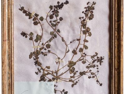 H4-Botanicals-Elusio-Antique-Design-product-5.jpeg